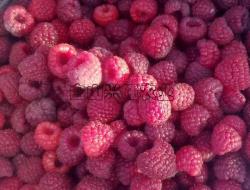 海尔特兹双季红树莓 营养价值